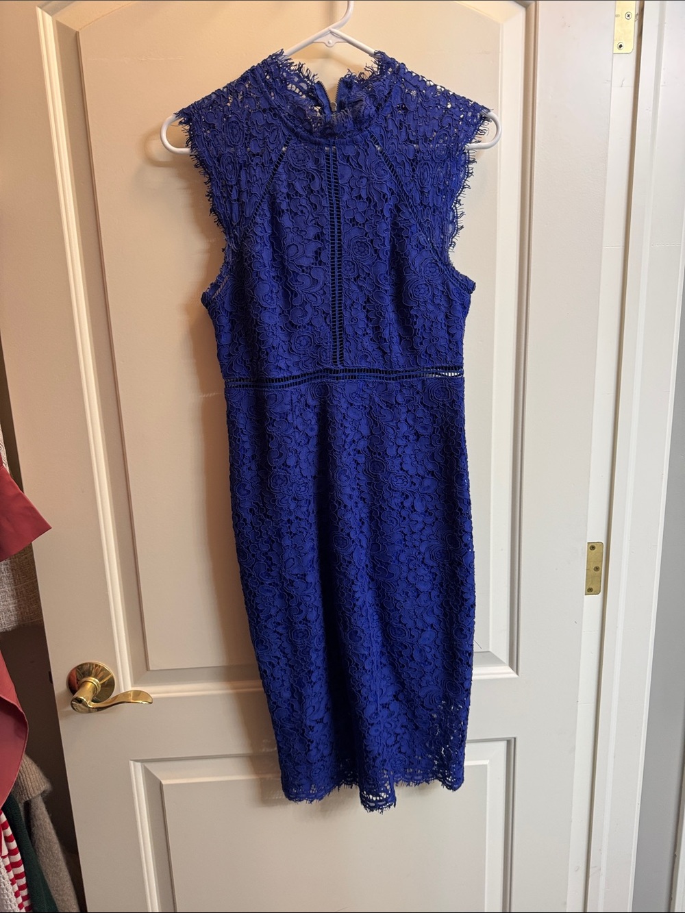 Bardot Cobalt Blue Sleeveless Lace Midi Dress